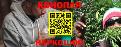 кокс Донской
