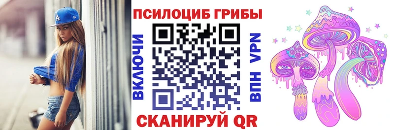 закладки  omg сайт  Галлюциногенные грибы Psilocybine cubensis  Минусинск 