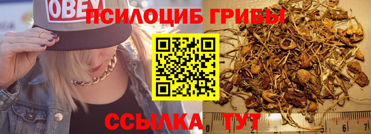 Минусинск  Галлюциногенные грибы прущие грибы  Вход с VPN 